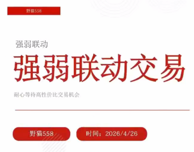 野猫558动量突破2025年第二期全程课