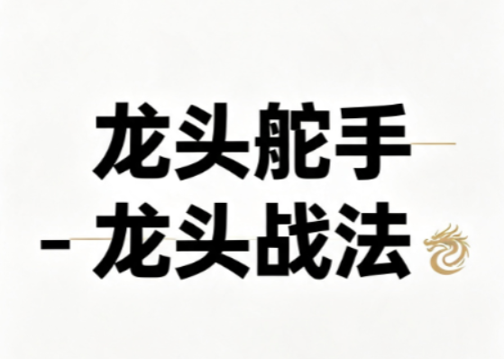 龙头舵手龙头战法课程 视频+文档