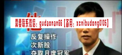 李文东李闻老师九强投资2015