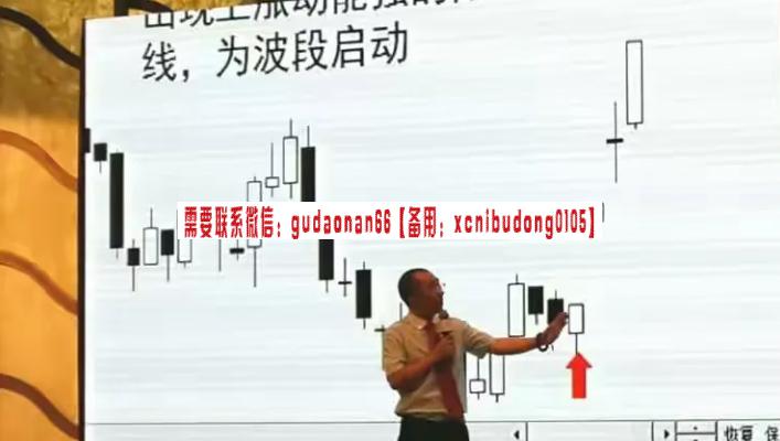 博股弘历投教赵伟2023秋季结构周期密码全系统视频课程