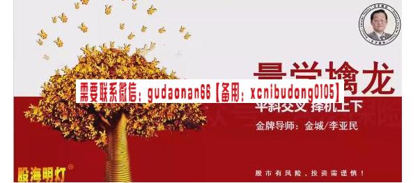 量学云讲堂 金城李亚民量学擒龙伏击龙头第57期+量学8段位课