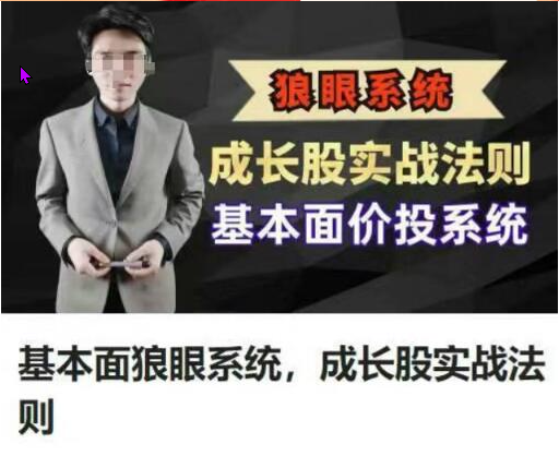 股道九杨 狼眼系统 成长股实战法则，基本面价投系统
